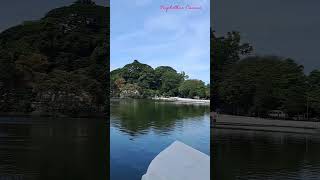 ক্যান্ডি লেক : শ্রীলঙ্কা || Kandy Lake : Sri Lanka #kandy #lake #travel #nature #srilanka