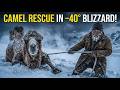 78-Year-Old Hermit Saves a Camel in –40°C Blizzard | in Yakutia | Life Below Zero Stories