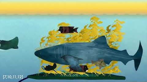 Seaweed Farms: Explained