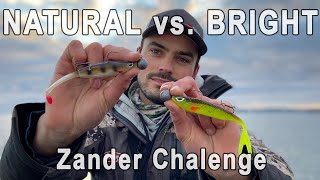 Natuurlijke kleuren VS Felle kleuren op Snoekbaars - Kunstaas challenge