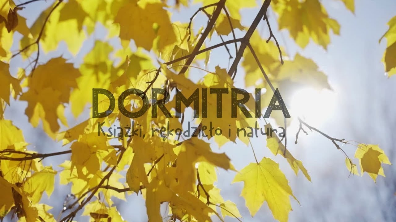 Odtwarzacz wideo YouTube