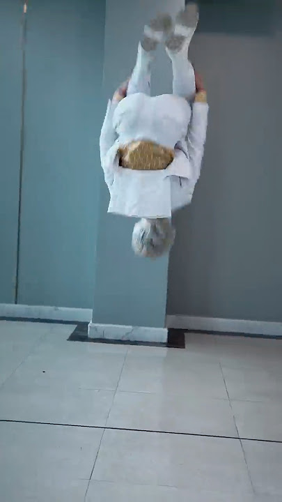 Thật khó tha thứ [BEN EAGLE] #beneagle #kungfu #movie