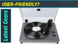 Immersive Vinyl Experience: 1 BY ONE Rock Pigeon Record Player Review