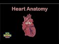 Understanding the Human Heart