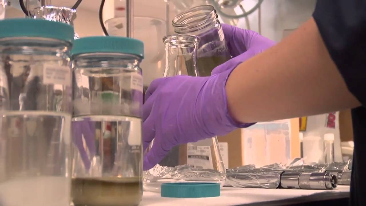 Gulf Scene Investigation: Oil Analysis