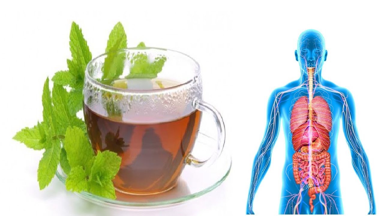 See What Happen To Your Body When You Drink Peppermint Tea Every Day