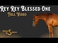 Rey Rey Blessed One || by Reydioactive || AQHA