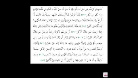 استجيبوا لربكم #سورة_الشورى #تلاوات #قران_كريم #دويتو #تلاوة_هادئة #اكسبلور