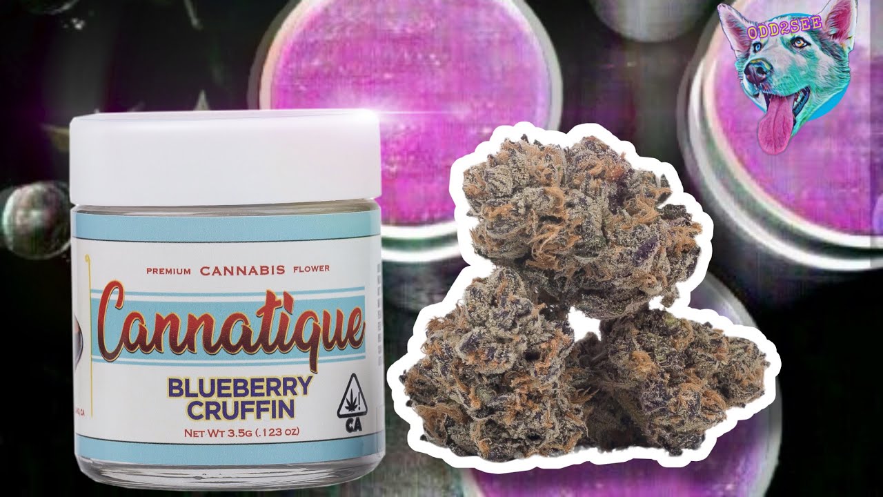 Blueberry Cruffin Strain Review 💨🔥🔥🔥