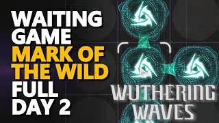 Waiting Game Expert Wuthering Waves
