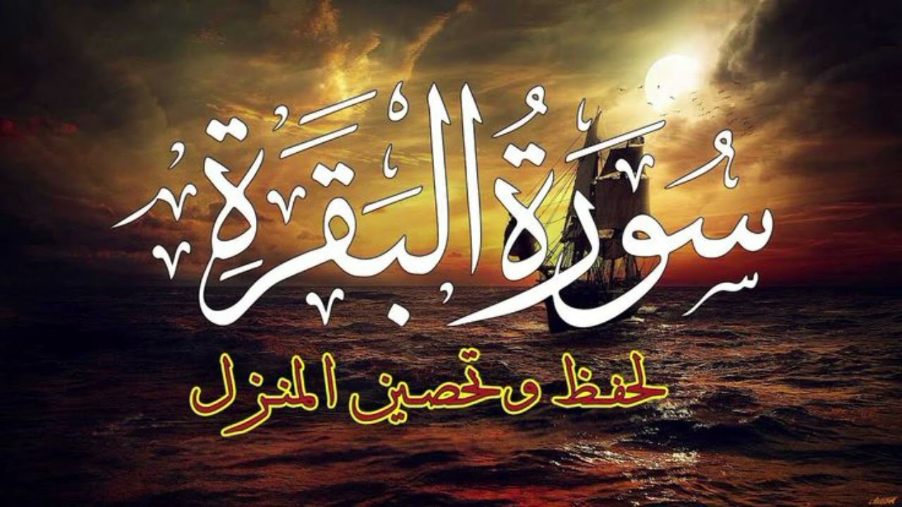 سورة البقرة بصوت القارئ|صلاح بو خاطر  