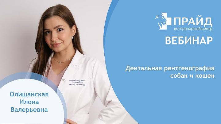 Дентальная рентгенография кошек и собак