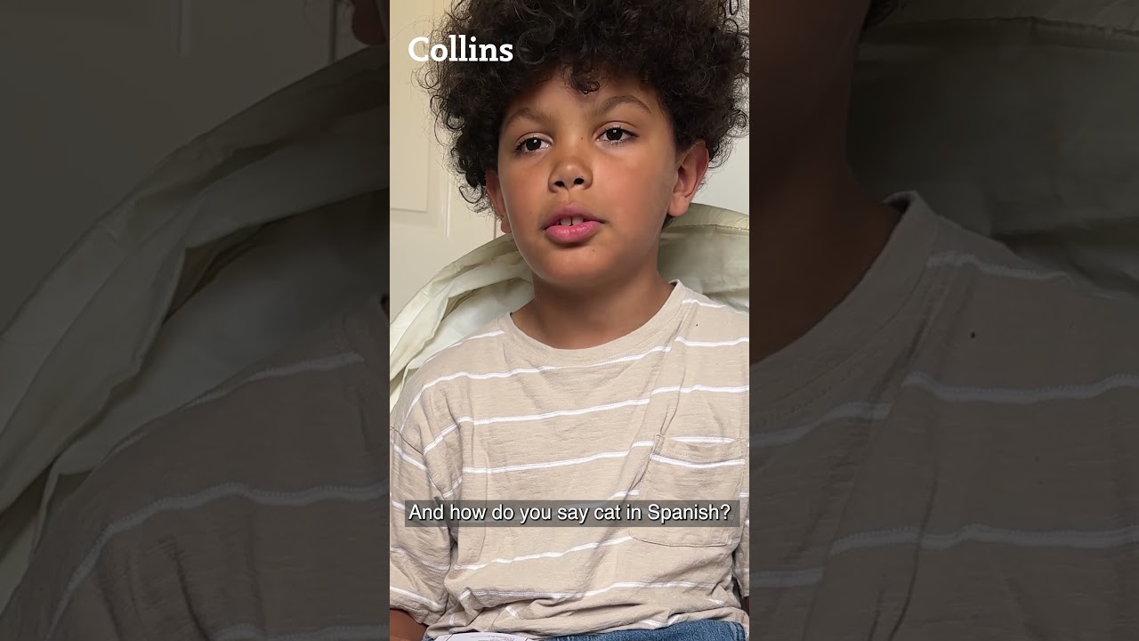 Give your child the best start to year 3 with Collins