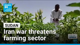 Iran war threatens Sudan's already fragile agricultural sector • FRANCE 24 English