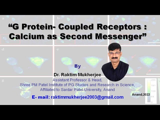 CALCIUM SIGNALLING PATHWAY
