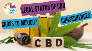 The Legal Status of CBD Can You Cross with CBD to Mexico