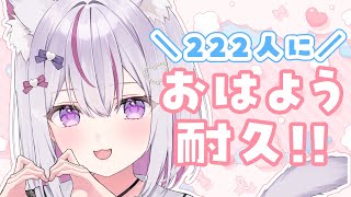 Nekoyama Mia ch. 猫山みあの配信のサムネイル画像