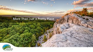 More Than Just A Pretty Place | Mohonk Preserve