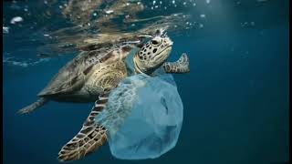 OCEAN POLLUTION 2022 PSA