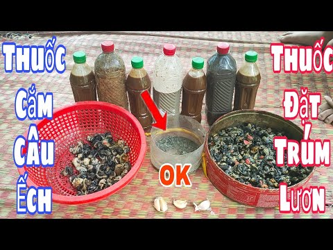 Video Lần đầu chỉ cách, Làm mồi thuốc đặt lươn, Mồi câu ếch,... - youtube