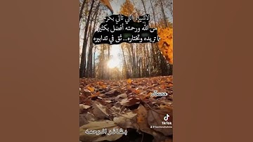الذين صبروا وعلى ربهم يتوكلون#قران #قران_كريم #quran #تلاوات #تلاوة_خاشعة #تلاوة #عبدالرحمن_مسعد #
