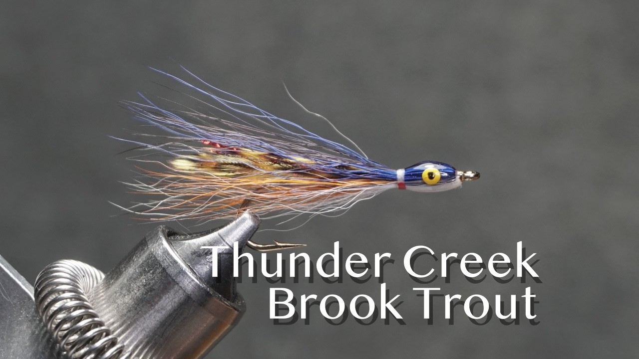 Brook Trout: a Keith Fulcher Thunder Creek Series fly pattern
