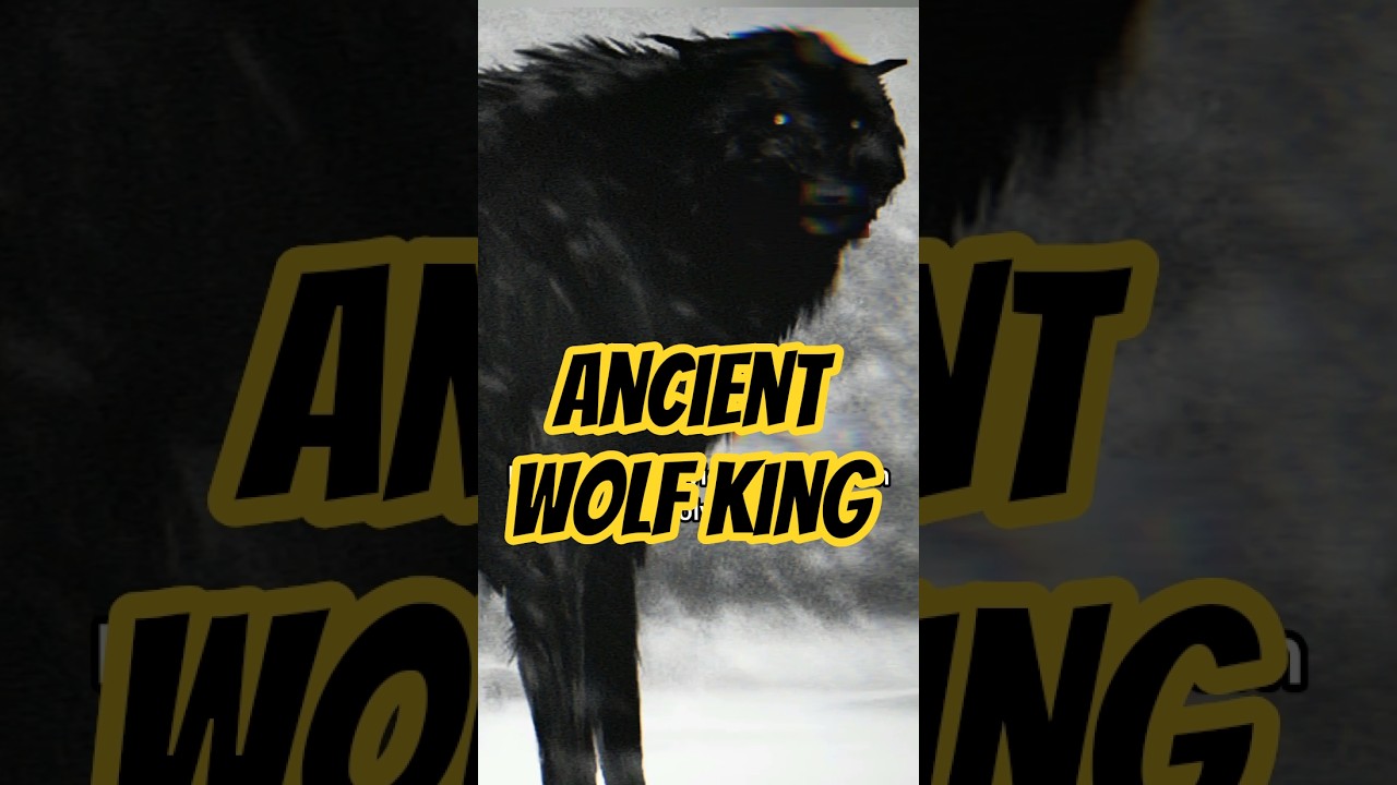 Ancient wolf King 