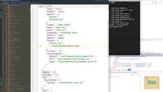 Information 4. Bootstrap integration con angular-cli e npm Update