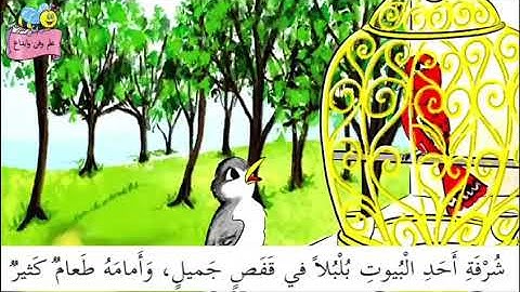 مسابقة القارئ الصغير