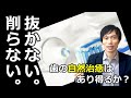 抜かない。削らない。歯の自然治癒はあり得るか？