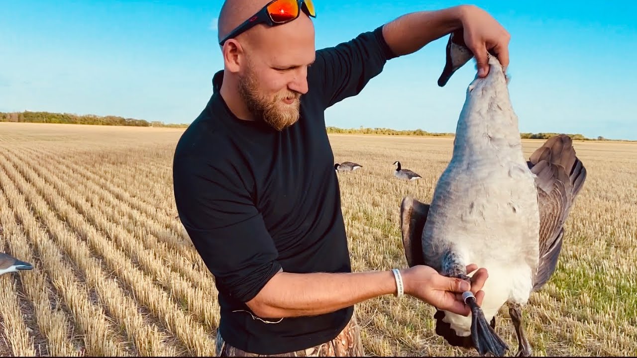 Early Season (2021) GOOSE HUNTING in Western Manitoba, Canada YouTube