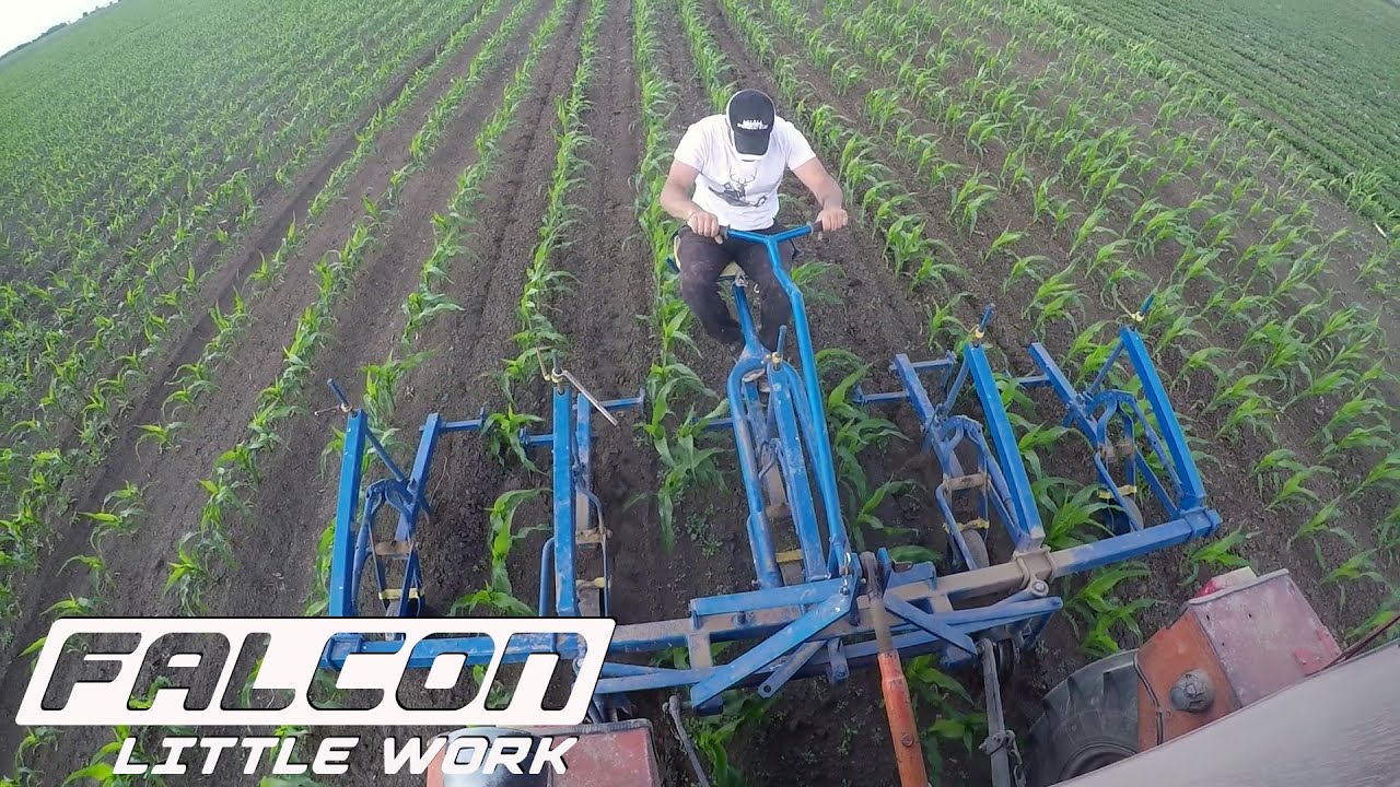 Kultiviranje - spartanje kukuruza Tupanjac Futog - IMT 539