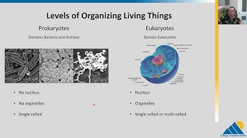 BIOL201 Chapter1.2 Themes and Concepts of Biology