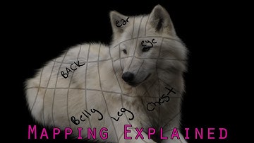 FeralHeart: How to Make a Preset - Mapping Explained