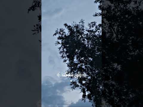 توقع ايش اسم الشيخ