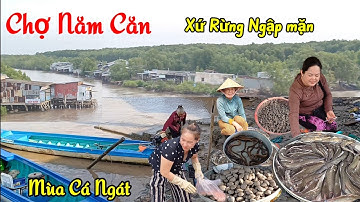 Đẹp lạ CHỢ NĂM CĂN Cà Mau  - Xứ Rừng Ngập Mặn Vào mùa Cá Ngát