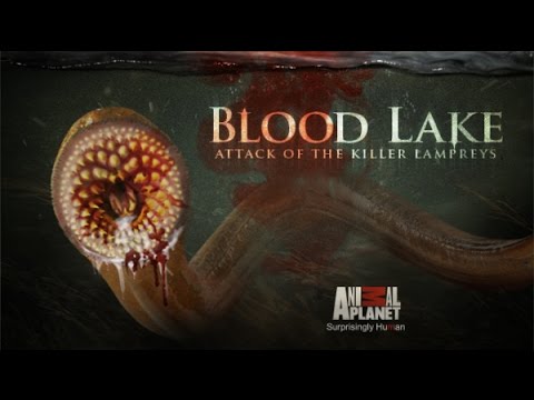 blood lake full movie download in hindi dubbed