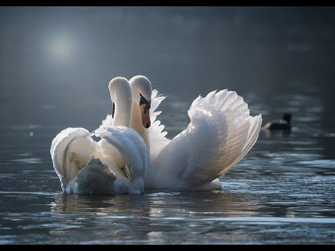 что означает увидеть себя во сне голой