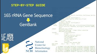 A Step-by-Step Guide to Upload Bacterial 16S rRNA Gene Sequence to GenBank