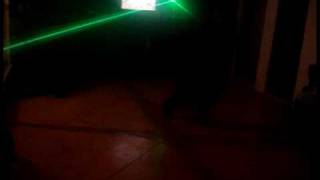 Rebolation Maah'O.livetti' & Gon' [free step]