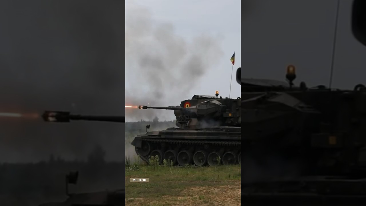 Румынская армия, НАТО. &laquo;Гепард&raquo; зенитно-артиллерийский танк.