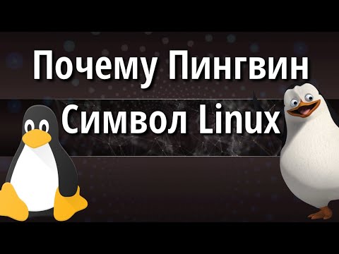 Почему Пингвин символ Linux рассказ про историю символа Линукс