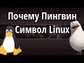 Почему Пингвин символ Linux. История про Линуса Торвальдса и Туве.