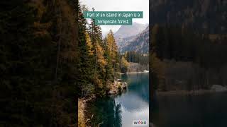 Temperate Forest learn about terrestrial biomes #terrestrial #biomes Wealth