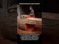 Unconventional Wood Carving The Artistic Transformation