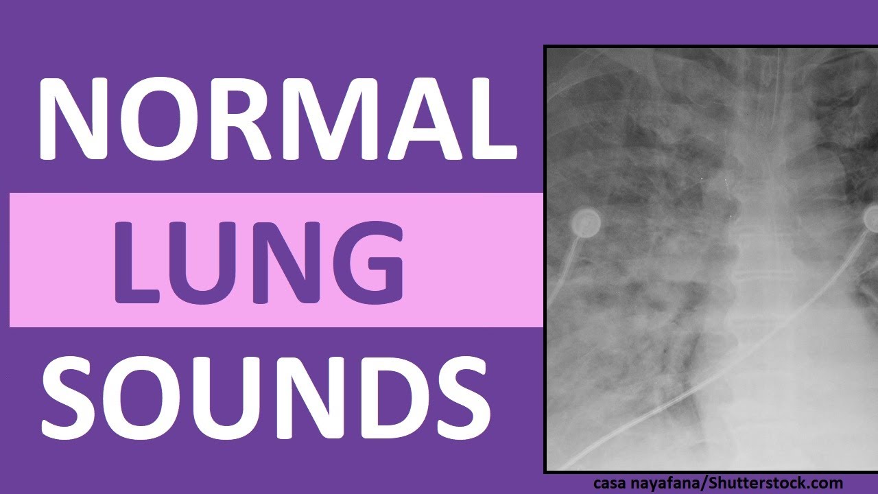 vesicular breath sounds congestive heart failure