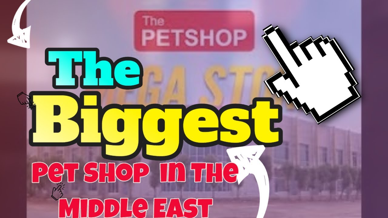 The Biggest Pet Shop In the Middle East!!! YouTube