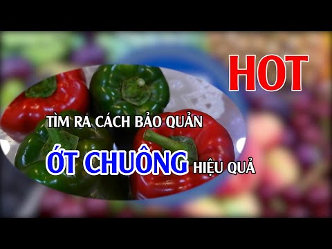 Video: Cách Bảo Quản ớt Chuông đúng Cách