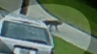 Florida - Man Vs Coyote