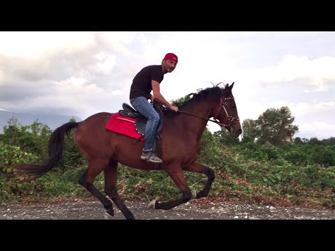 Video: At Binmeyi öğrenmek Nasıl